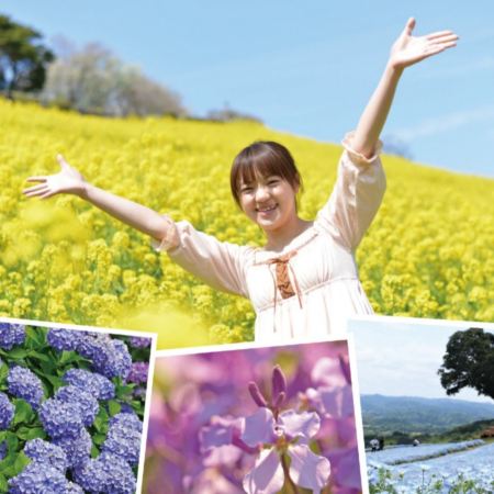 東京、栃木 5天遇見春日之旅  Mother牧場(欣賞花田美景)、大福寺(崖觀音)、「世界文化遺產」日光東照宮、「賞櫻名所」成田山新勝寺、成田山表參道(江戶懷舊街)、川越小江戶