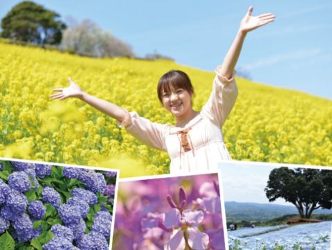 東京、栃木 5天遇見春日之旅  Mother牧場(欣賞花田美景)、大福寺(崖觀音)、「世界文化遺產」日光東照宮、「賞櫻名所」成田山新勝寺