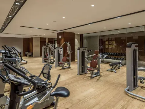 陽江中心華邑酒店 健身室