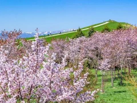 莫埃來沼環保公園