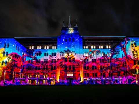 悉尼燈光音樂節