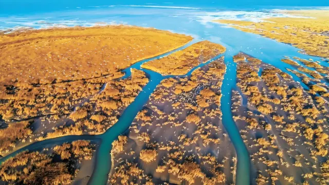 黃河口生態旅游區