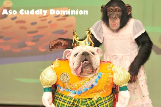 阿蘇奇趣動物園