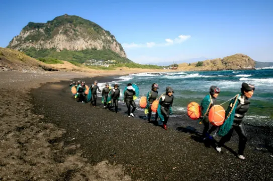 濟州海女海撈潛手表演