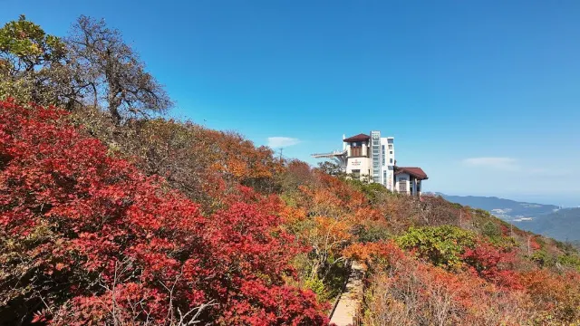 發旺山觀光纜車來回體驗~ Monapark Skywalk