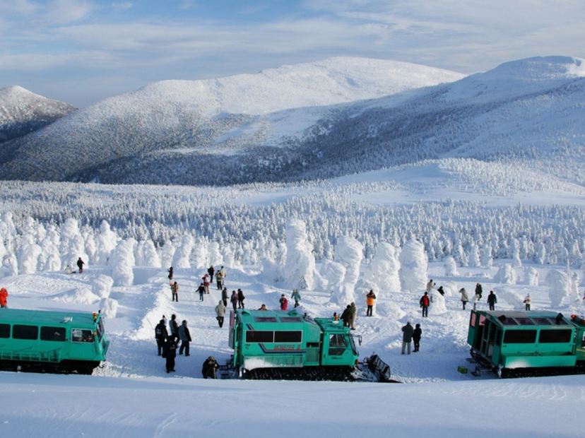 Wild Monster雪怪車