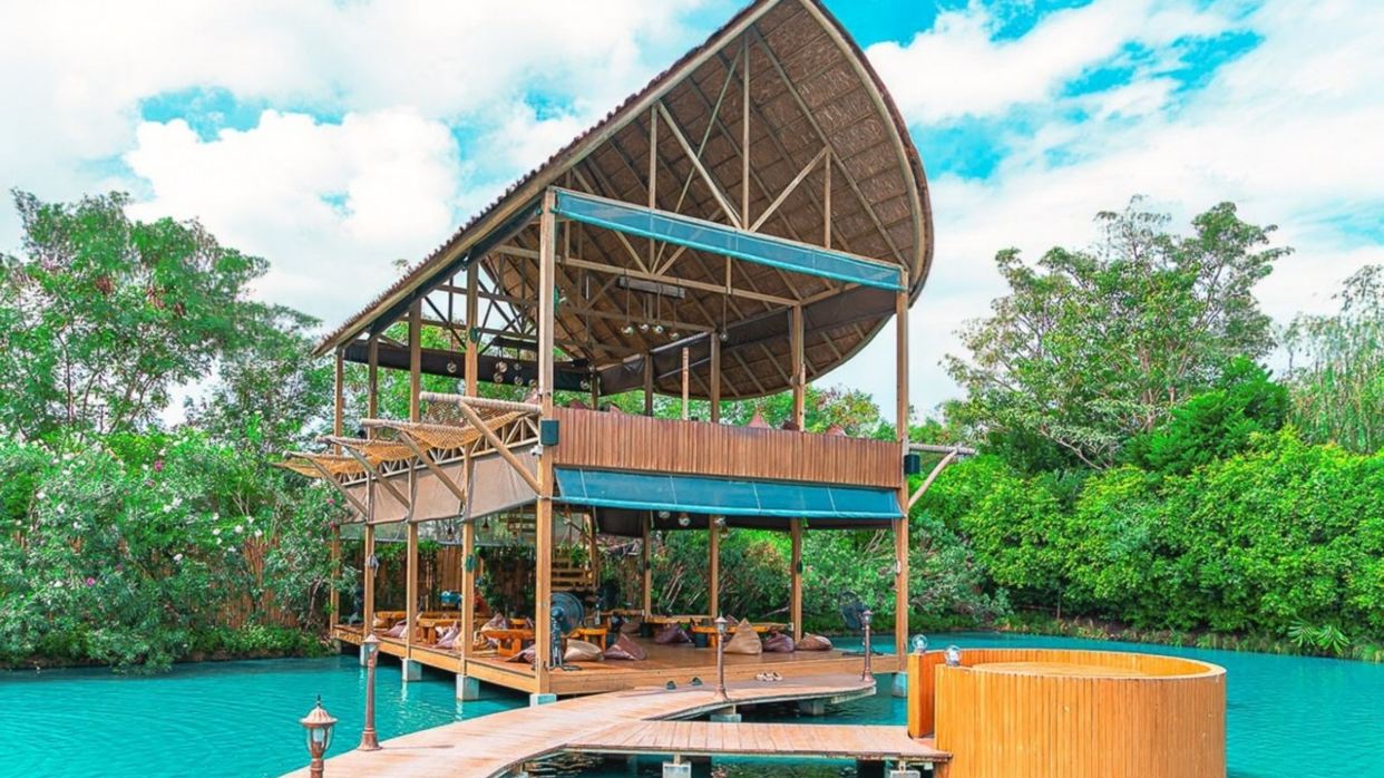 Bubble in the Forest