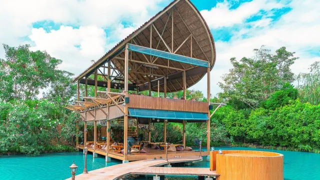 Bubble in the Forest