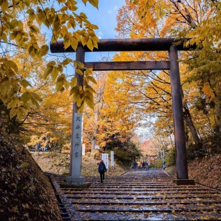 北海道~道央 秋色美景6天之旅  賞紅葉名所(洞爺湖展望台、北海道神宮+大倉山展望台/豐平峽水庫)、登別Marine Park海洋城堡、支笏湖美景、北國優駿公園、2晚溫泉酒店