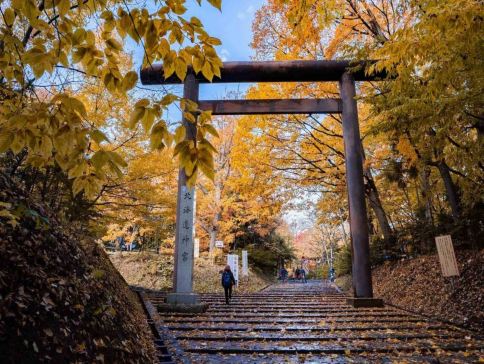 北海道~道央 秋色美景6天之旅 賞紅葉名所(洞爺湖展望台、北海道神宮+大倉山展望台/豐平峽水庫)、登別Marine Park海洋城堡、支笏湖美景、北國優駿公園、2晚溫泉酒店 北海道~道央 秋色美景6天之旅 賞紅葉名所(洞爺湖展望台、北海道神宮+大倉山展望台/豐平峽水庫)、登別Marine Park海洋城堡、支笏湖美景、北國優駿公園、2晚溫泉酒店