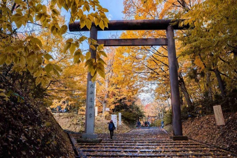 北海道~道央 秋色美景6天之旅  賞紅葉名所(洞爺湖展望台、北海道神宮+大倉山展望台/豐平峽水庫)、登別Marine Park海洋城堡、支笏湖美景、北國優駿公園、2晚溫泉酒店