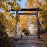 北海道~道央 秋色美景6天之旅  賞紅葉名所(洞爺湖展望台、北海道神宮+大倉山展望台/豐平峽水庫)、登別Marine Park海洋城堡、支笏湖美景、北國優駿公園、2晚溫泉酒店