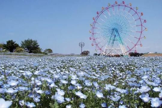 海之中道海濱公園