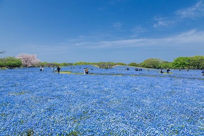 海之中道海濱公園