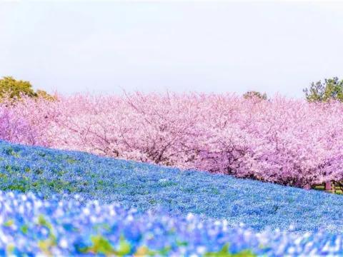 海之中道海濱公園