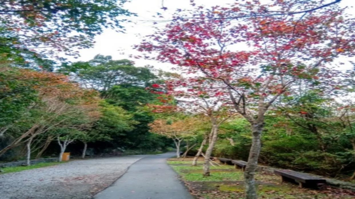 滿月圓國家森林遊樂區賞楓(註17)