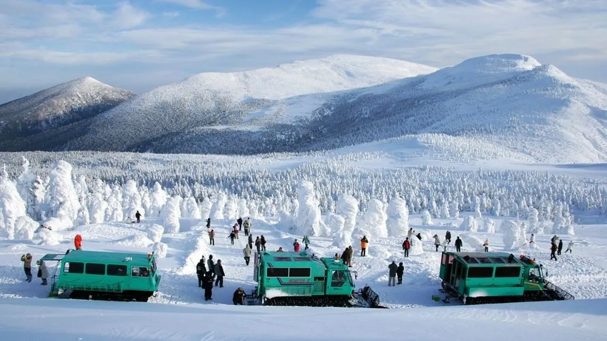Wild Monster雪怪車