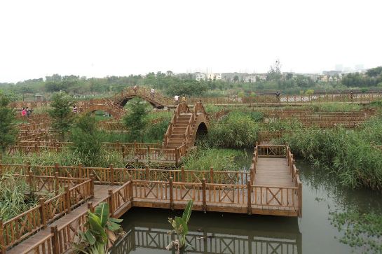 五緣灣濕地公園