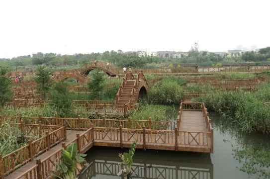 五緣灣濕地公園