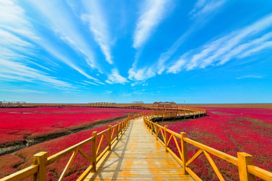 季節限定‧美景之旅】 盤錦(紅海灘)、瀋陽(故宮)、長春4天升級純玩團