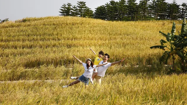 田家舍生態農場