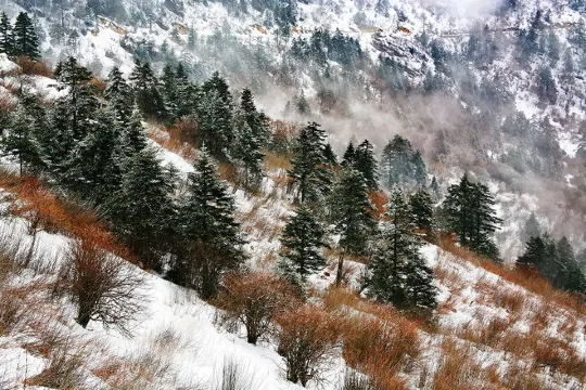 神農架國家森林公園