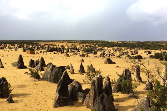 尖石林沙漠之旅