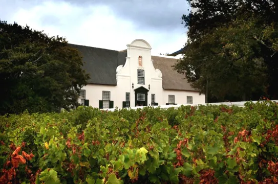 康士坦尼亞酒園