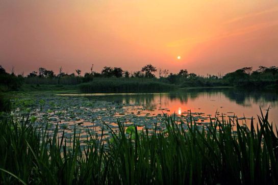 西溪濕地國家公園