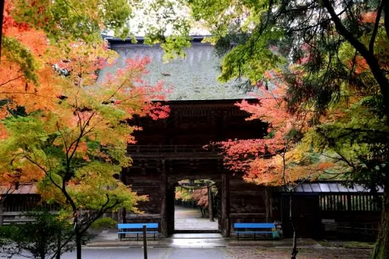 大矢田神社