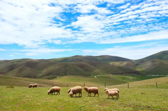 大海草山風景區