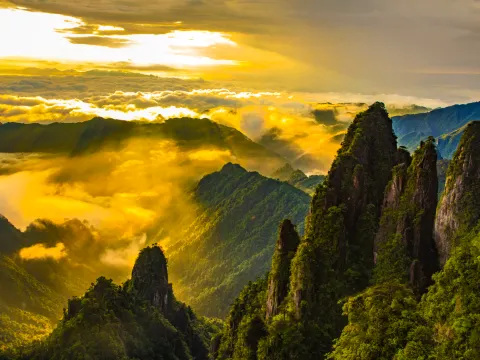 莽山國家森林公園