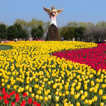 黃山(天下第一奇山)5天純玩高鐵團 《世界自然及文化雙遺產》黃山(北海、西海景區)、屯溪黎陽IN巷、宏村、塔川、銅陵犁橋水鎮