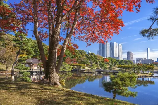 濱離宮恩賜庭園