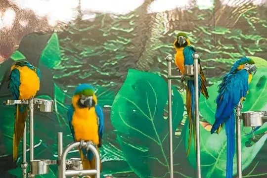 三水.松鼠部落.萌寵樂園