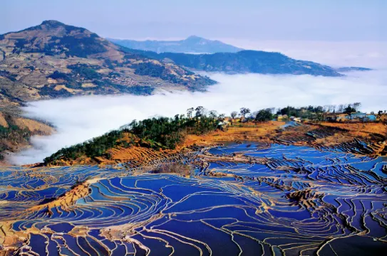 哈尼梯田