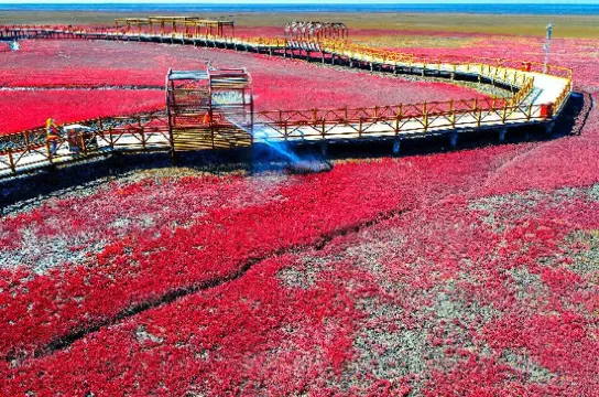 紅海灘國家風景廊道