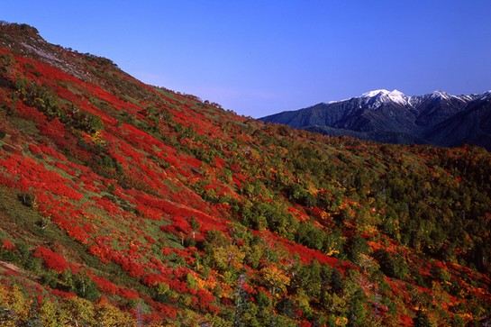 北海道 層雲峽 秋天