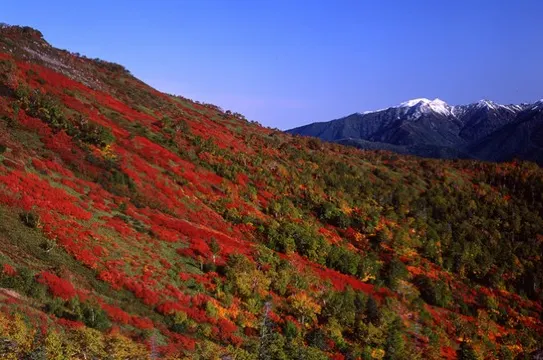北海道 層雲峽 秋天