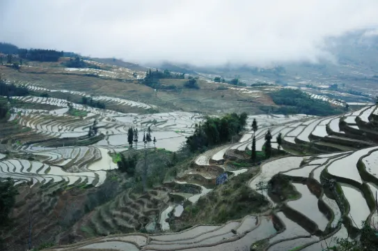 壩達梯田