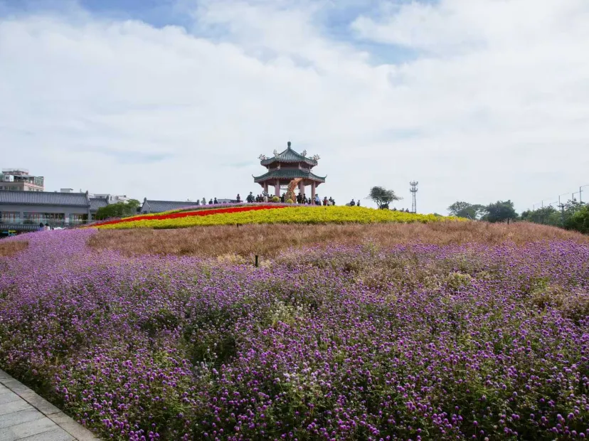 潮人花海
