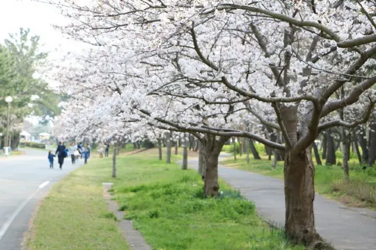海之中道海濱公園