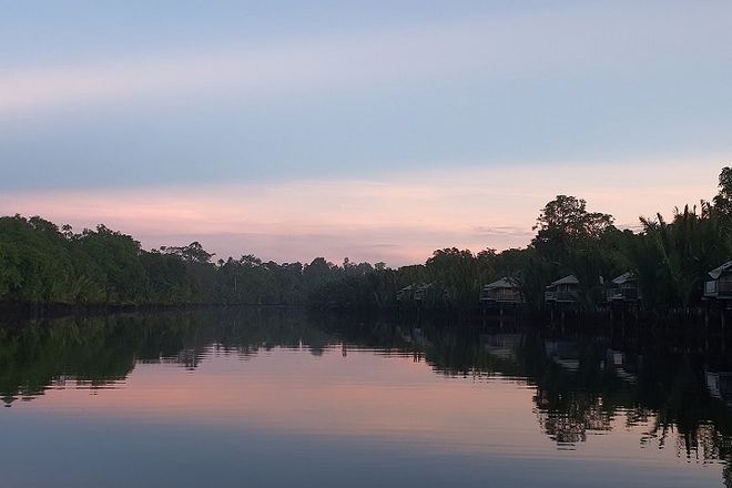乘船夜觀螢火蟲