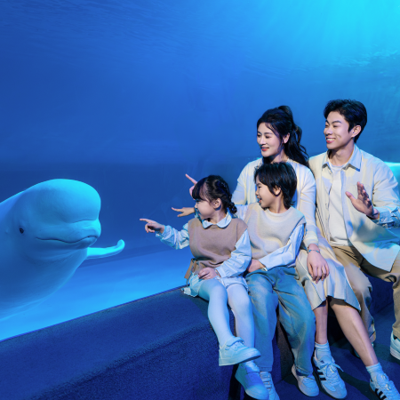 《聖誕音樂會+正佳極地海洋世界》"左倫右李"模仿秀．聖誕節音樂會 佛羅倫薩小鎮、雲台花園、馬丁叔叔生態園 國際品牌~南沙金茂萬豪酒店+【酒店海鮮自助晚餐】佛山聖誕加班3天團