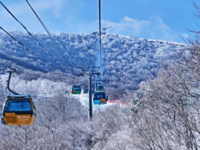 發旺山觀光纜車來回體驗~ Monapark Skywalk