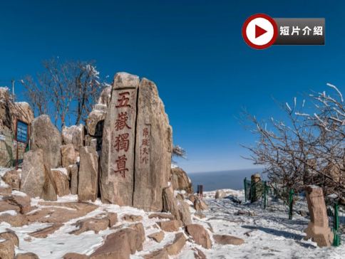 【5鑽】【皇牌】山東‧青島、泰安、濟南、東營6天純玩之旅 黃河口生態旅遊區(十萬鳥浪回巢、近距離觀看餵飼珍稀雀鳥)、五嶽之首泰山、濟南大明湖畫舫、泉水下午茶、凱賓斯基酒店53層雲端早餐、雲上海天觀光廳