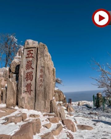 【皇牌】山東‧青島、泰安、濟南、東營6天純玩之旅 黃河口生態旅遊區(十萬鳥浪回巢、近距離觀看餵飼珍稀雀鳥)、五嶽之首泰山、濟南大明湖畫舫、泉水下午茶、凱賓斯基酒店53層雲端早餐、雲上海天觀光廳