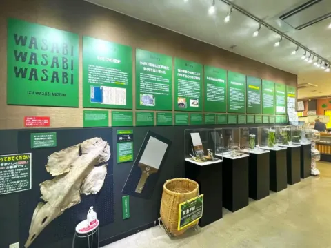 伊豆Wasabi博物館