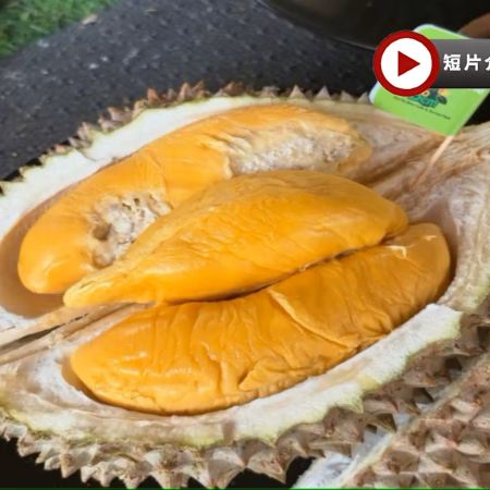 《季節限定 榴槤任食》 新加坡+馬來西亞6天 玩樂團 - 布城遊船體驗 + Gardens by the Bay濱海灣花園 + Aquaria KLCC水族館