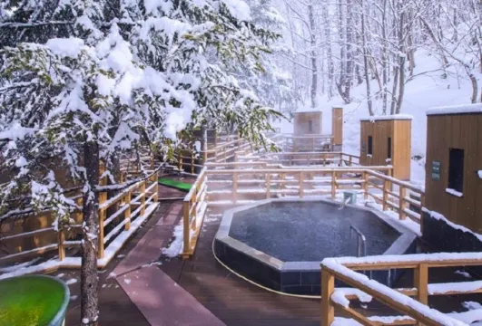 北湯澤 綠之風度假村溫泉酒店(或同級)